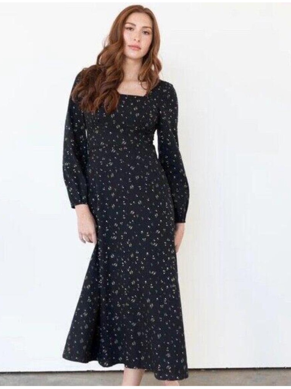 ABLE Nova long sleeve dress NWT $158 msrp